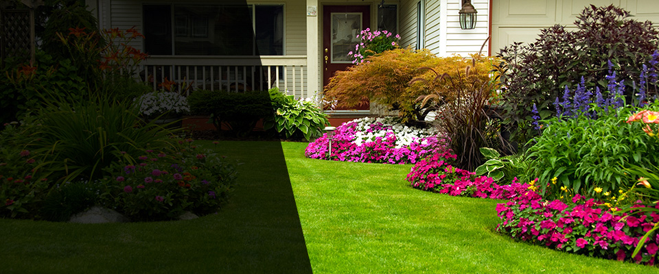 Guerneville Landscapers