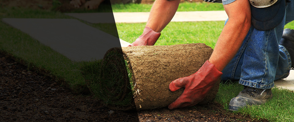Guerneville Landscapers